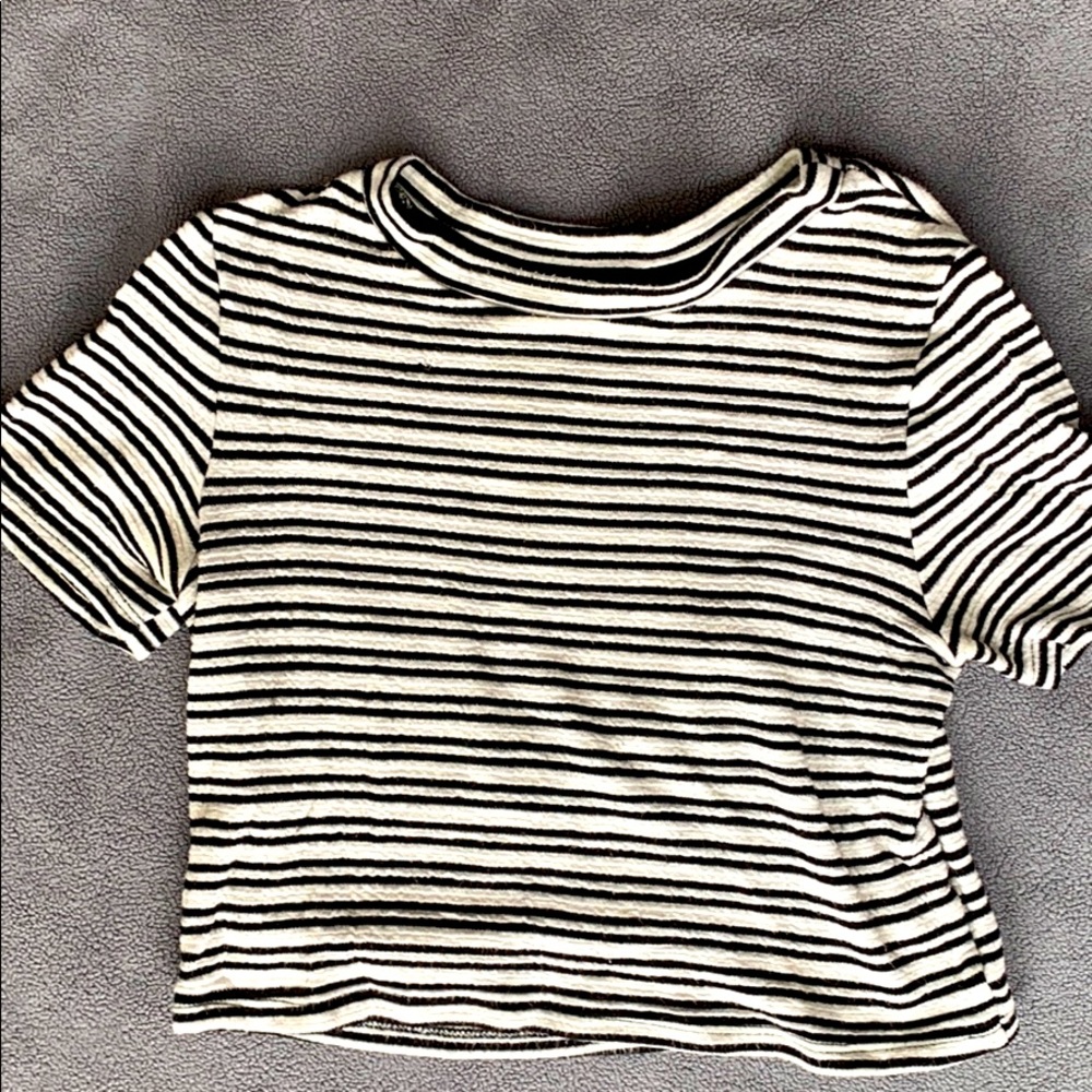 Women’s crop top t shirt